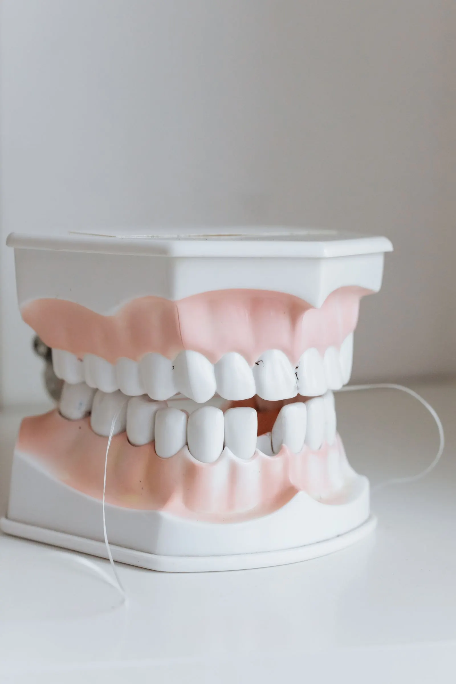 Dental floss on a tooth model